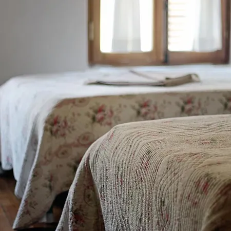 Des Etrangers - Special Category